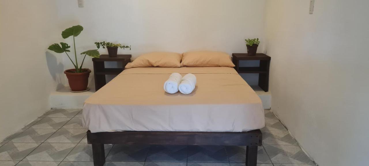 Casa Choco Hotel Mazunte Kültér fotó