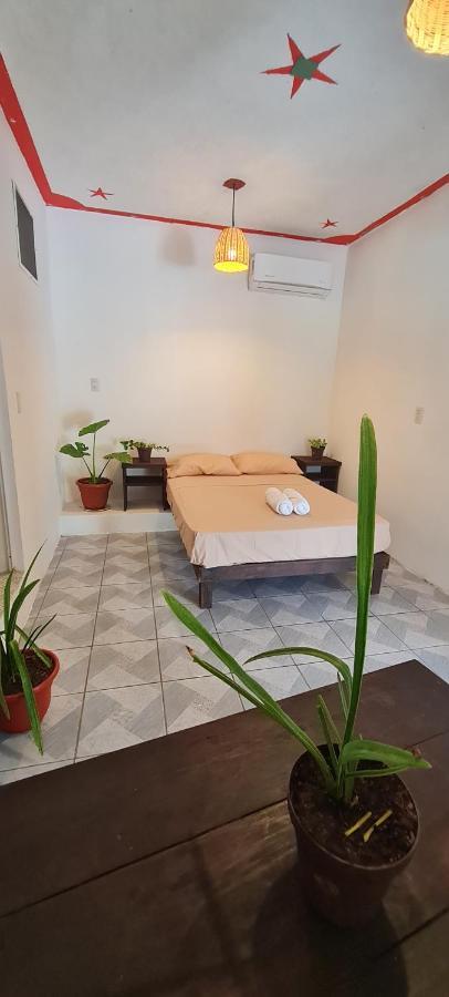 Casa Choco Hotel Mazunte Kültér fotó