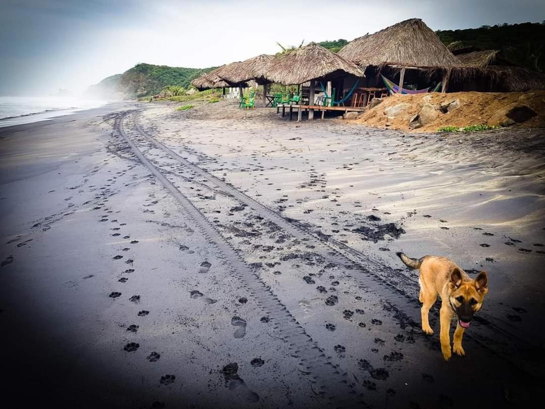 Casa Choco Hotel Mazunte Kültér fotó