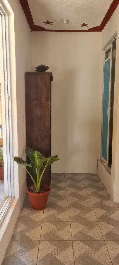 Casa Choco Hotel Mazunte Kültér fotó