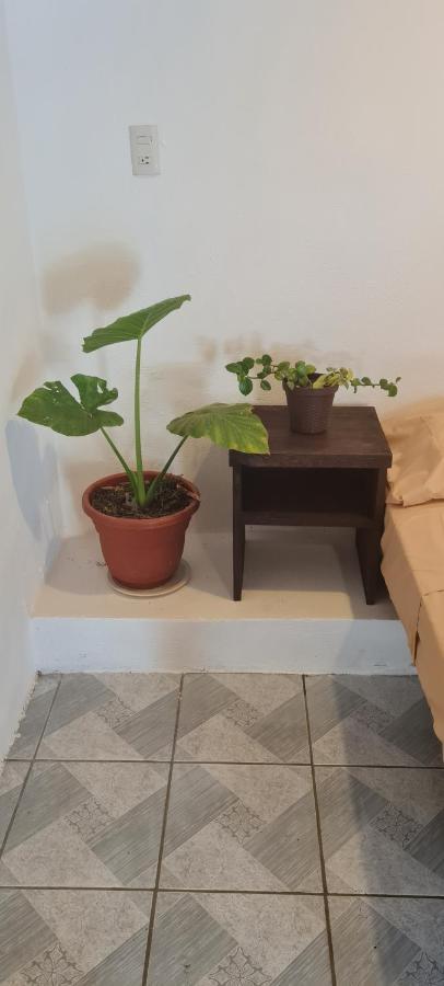 Casa Choco Hotel Mazunte Kültér fotó
