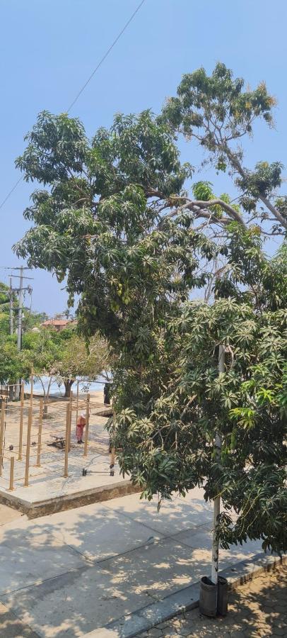 Casa Choco Hotel Mazunte Kültér fotó
