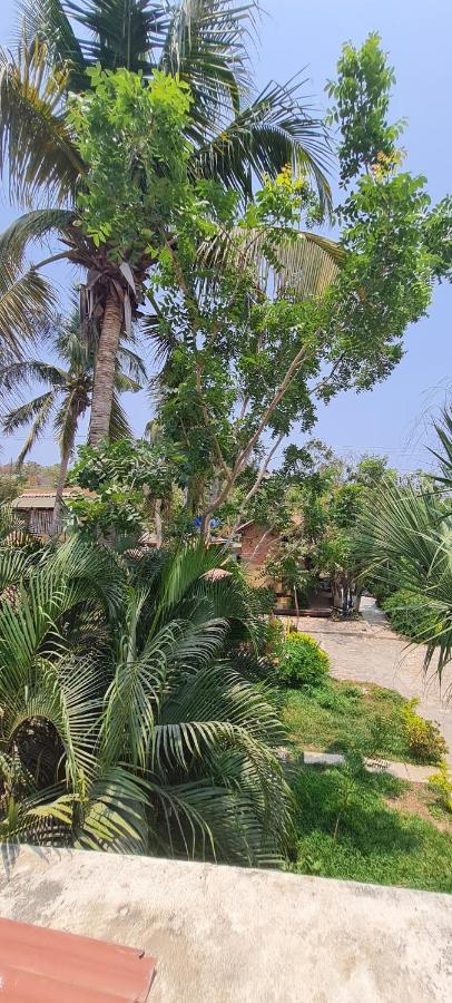 Casa Choco Hotel Mazunte Kültér fotó